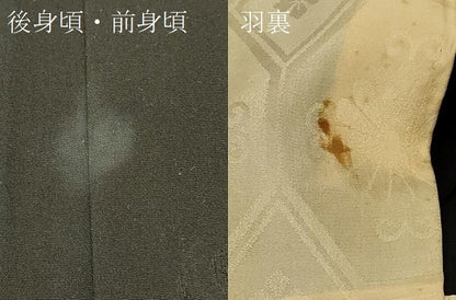 平和屋着物＃羽織　寿光織　流水花文　黒地　銀糸　正絹　逸品　CABE5591in