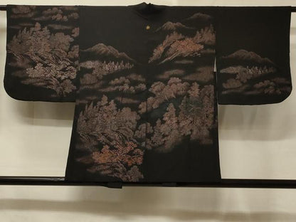 平和屋着物＃羽織　寿光織　風景文　黒地　正絹　逸品　CABE5597in