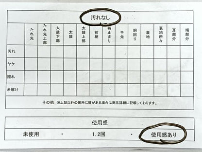 平和屋着物◎両面　六通柄袋帯　亀甲花文　金糸　正絹　逸品　CABE5937nb