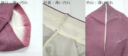 平和屋着物■上質な小紋 地紋起こし 風景文 暈し染め 正絹 逸品 CABE6636th