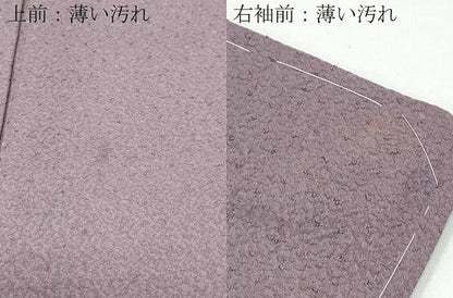 平和屋着物■上質な色無地 葡萄鼠色 正絹 逸品 CABE6667th