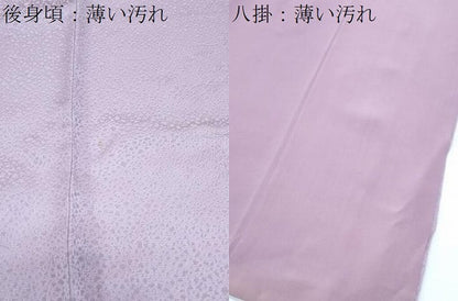 平和屋着物■上質な小紋　地紋起こし　風景文　正絹　逸品　CABE6672th