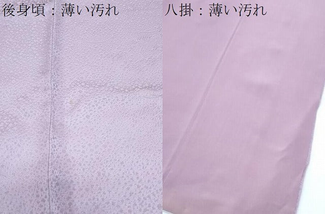 平和屋着物■上質な小紋　地紋起こし　風景文　正絹　逸品　CABE6672th
