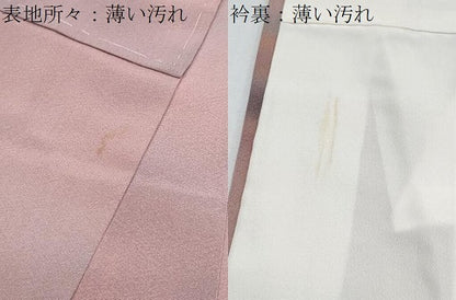 平和屋着物■上質な小紋　作家物　霞文　暈し染め　正絹　逸品　CABE6691th
