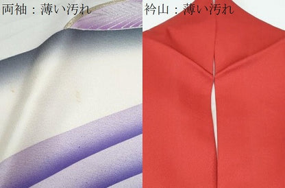 平和屋着物■豪華振袖 孔雀花文 暈し染め 銀彩 正絹 逸品 CABE6698th