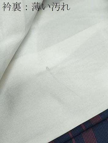 平和屋着物■本場縞大島紬 横段文 正絹 逸品 CABE6751th