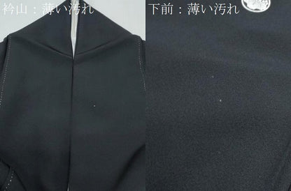 平和屋着物■豪華黒留袖 作家物 桧扇鴛鴦花文 金銀彩 正絹 逸品 CABE6758th