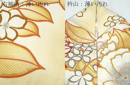 平和屋着物■上質な小紋　草花文　暈し染め　正絹　逸品　CABE6776th