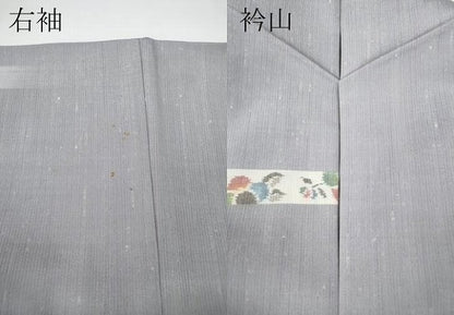 平和屋着物●上質な紬　舞蝶椿文　正絹　逸品　CABE6826ut
