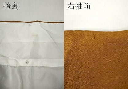 平和屋着物●豪華振袖　雪輪椿花文　暈し染め　金彩　鬼しぼ縮緬　正絹　逸品　CABE6844ut