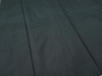 平和屋着物●男性　本場大島紬　アンサンブル　100亀甲　総詰め　正絹　逸品　CABE6856ut