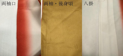 平和屋着物●訪問着　文箱枝花文　暈し染め　金彩　ロング丈　正絹　逸品　CABE6895ut