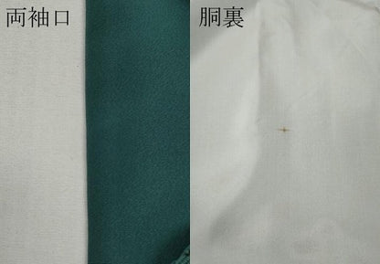 平和屋着物●人間国宝　南部芳松　突彫り　江戸小紋　松　正絹　逸品　CABE6913ut