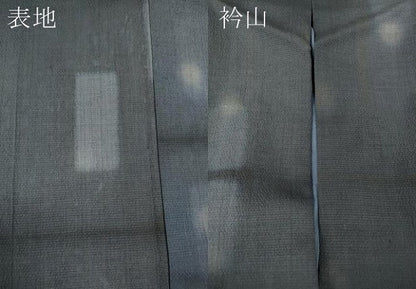 平和屋着物●上質なお召　吉祥文　正絹　逸品　CABE6918ut