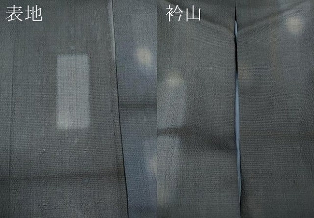 平和屋着物●上質なお召　吉祥文　正絹　逸品　CABE6918ut