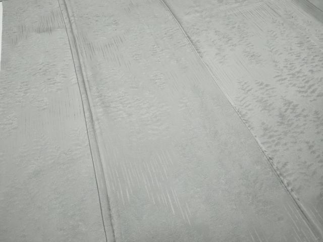 平和屋着物●無地絵羽訪問着　樹林地紋　白鼠色　正絹　逸品　CABE6945ut