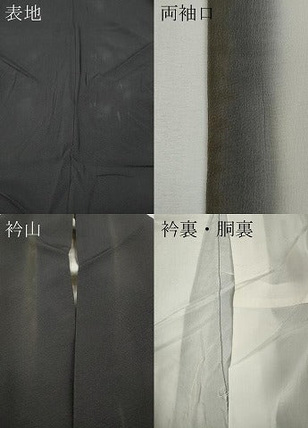 平和屋着物●訪問着　枝垂れ桜文　正絹　逸品　CABE6978ut