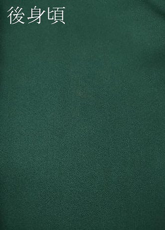 平和屋着物●訪問着　吉祥草花文　暈し染め　金銀彩　さが美扱い　ロング丈　正絹　逸品　未使用　CABE7009ut