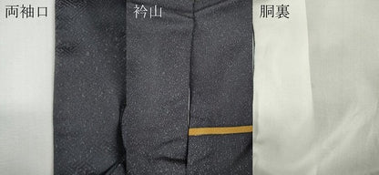 平和屋着物●染色工房　水九木　訪問着　葡萄蔦の葉文　銀通し地　ロング丈　正絹　逸品　CABE7010ut