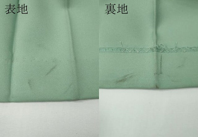 平和屋着物●ファッションブランド　hiromichi nakano　ヒロミチナカノ　女性　行灯袴　総刺繍　舞花文　洗える着物　CABE7024ut