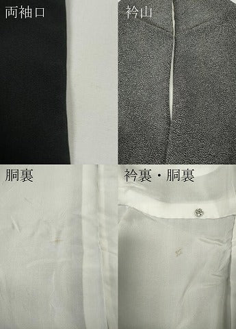 平和屋着物●江戸小紋　作家物　草木染　鮫小紋柄　黒地　鬼しぼ縮緬　正絹　逸品　CABE7053ut