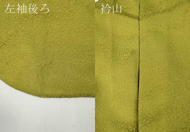 平和屋着物●上質な色無地　舞菊地紋　緑黄色　正絹　逸品　CABE7169ut