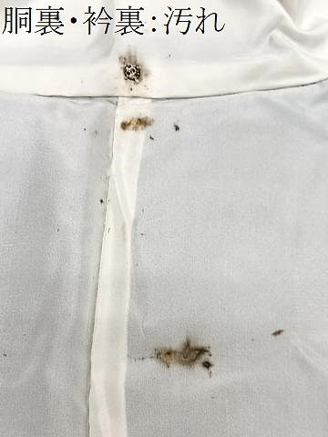 平和屋着物■本場大島紬　間道　正絹　逸品　CABE7596xe