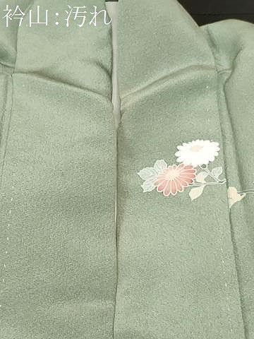 平和屋着物■訪問着　友禅　枝花文　正絹　逸品　CABE7752ev
