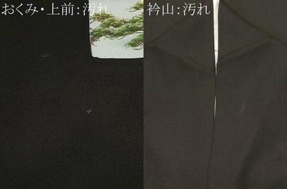 平和屋着物■豪華黒留袖　色紙重ね風景文　正絹　逸品　CABE7832ev