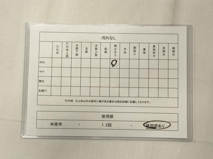 平和屋着物◎両面　六通柄袋帯　唐織　組紐正倉院花文　金銀糸　正絹　逸品　CABE8020oy