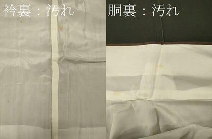 平和屋着物■訪問着 手描き 薔薇 暈し染め 金銀彩 正絹 逸品 未使用 CABE8047oy