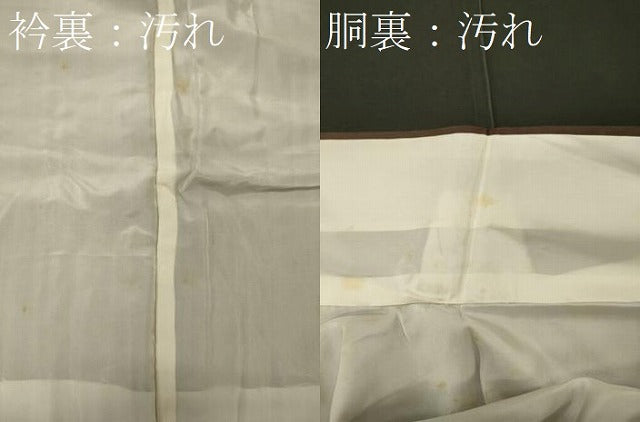 平和屋着物■訪問着 手描き 薔薇 暈し染め 金銀彩 正絹 逸品 未使用 CABE8047oy