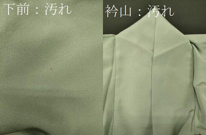 平和屋着物■豪華色留袖　御所車花松文　暈し染め　金銀彩　正絹　逸品　CABE8070oy