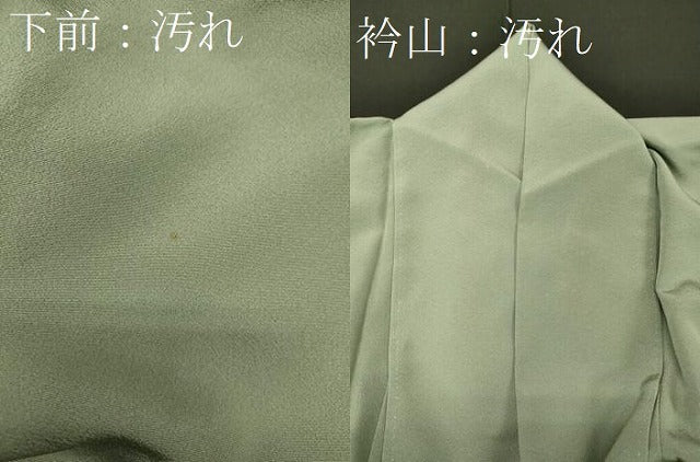 平和屋着物■豪華色留袖　御所車花松文　暈し染め　金銀彩　正絹　逸品　CABE8070oy