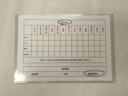 平和屋着物◎六通柄袋帯　唐織　鳳凰正倉院花文　金銀糸　正絹　逸品　CABE8133oy