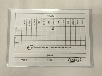 平和屋着物◎六通柄袋帯　立波梅文　金銀糸　正絹　逸品　CABE8174oy