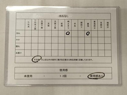 平和屋着物◎六通柄袋帯　草花文　綴れ　銀糸　正絹　逸品　CABE8208oy