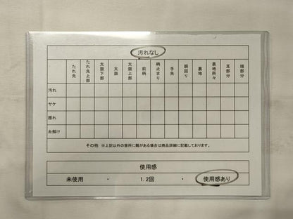 平和屋着物◎六通柄袋帯　螺鈿　花筏　金銀彩　ワンポイント　正絹　逸品　CABE8344oy
