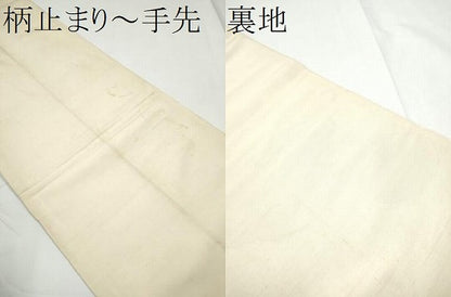 平和屋着物●六通柄　本袋帯　唐織　花鳥丸文　金糸　正絹　逸品　CABE8693hy