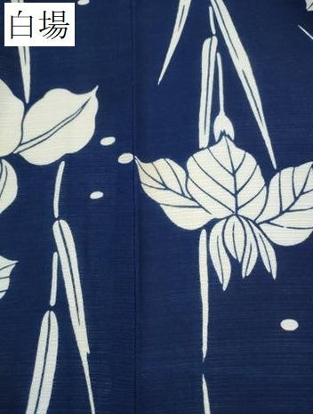 平和屋着物∴夏物 浴衣 綿絽 杜若 綿 逸品 CABE8869ng