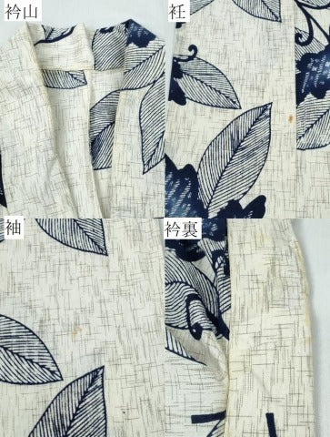 平和屋着物∴夏物 浴衣 唐草文 綿 逸品 CABE9012ng
