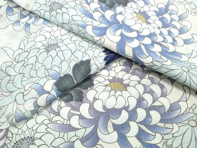 平和屋着物∴夏物 浴衣 菊文 綿 逸品 CABE9068ng