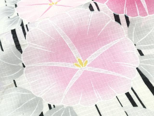平和屋着物∴夏物　浴衣　綿紅梅　朝顔　間道　綿　逸品　CABE9086ng