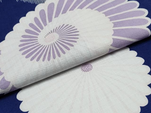 平和屋着物∴夏物　撫松庵　浴衣　番傘　綿　逸品　CABE9136ng