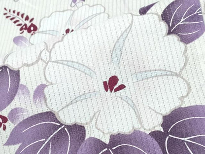平和屋着物∴夏物　浴衣・小紋兼用　綿絽　朝顔　綿　逸品　CABE9184ng