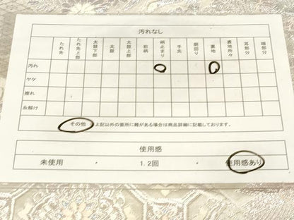 平和屋着物◎六通柄袋帯　煌きのオパール　銀糸　正絹　逸品　CABE9497dy
