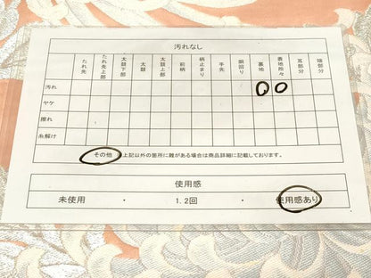 平和屋着物◎六通柄袋帯　唐織　乱菊　銀糸　正絹　逸品　CABE9499dy