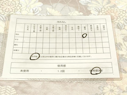 平和屋着物◎六通柄袋帯　草花文　プラチナ箔二重織　正絹　逸品　CABE9599dy