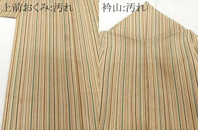 平和屋着物■小紋 縞 鮫小紋柄 洗える着物 CABE9623xi