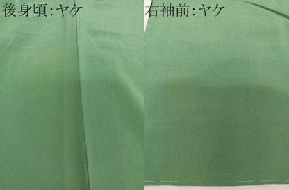 平和屋着物■上質な色無地 薄緑色 正絹 逸品 CABE9647xi